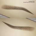 P300 - dispositivo per trucco permanente e mesoterapia