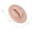 Labbra realistiche in silicone per esercitarsi