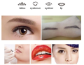 Liberty - dispositivo per trucco permanente e mesoterapia